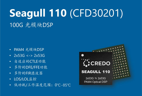 Credo DSP³ɆTSeagull 110Seagull XR8