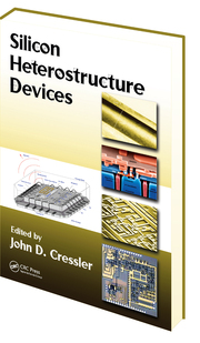 Silicon Heterostructure Devices