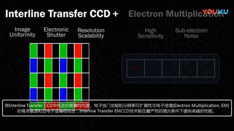 Interline Transfer EMCCDgҕl